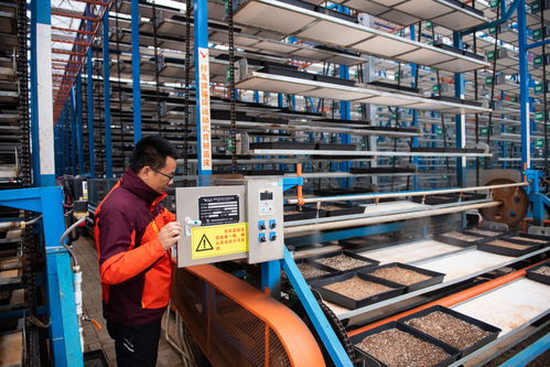 圖文互動 保姆式 服務 智能化工廠 連片化土地 水稻大省湖南春耕一線觀察